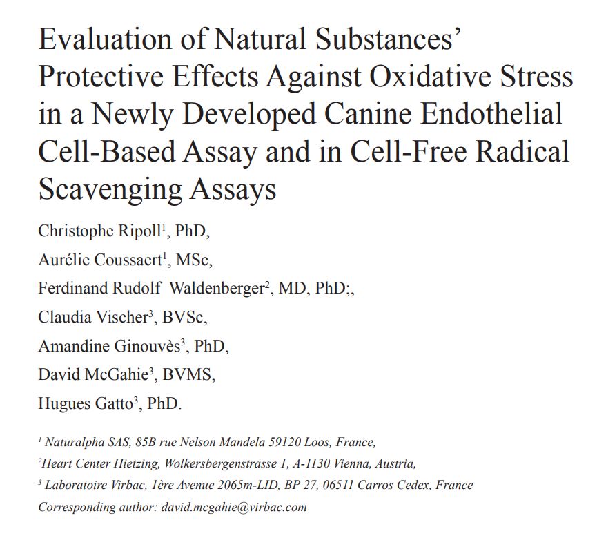 猫狗增加抵抗力的药,猫狗抗病毒的药有哪些