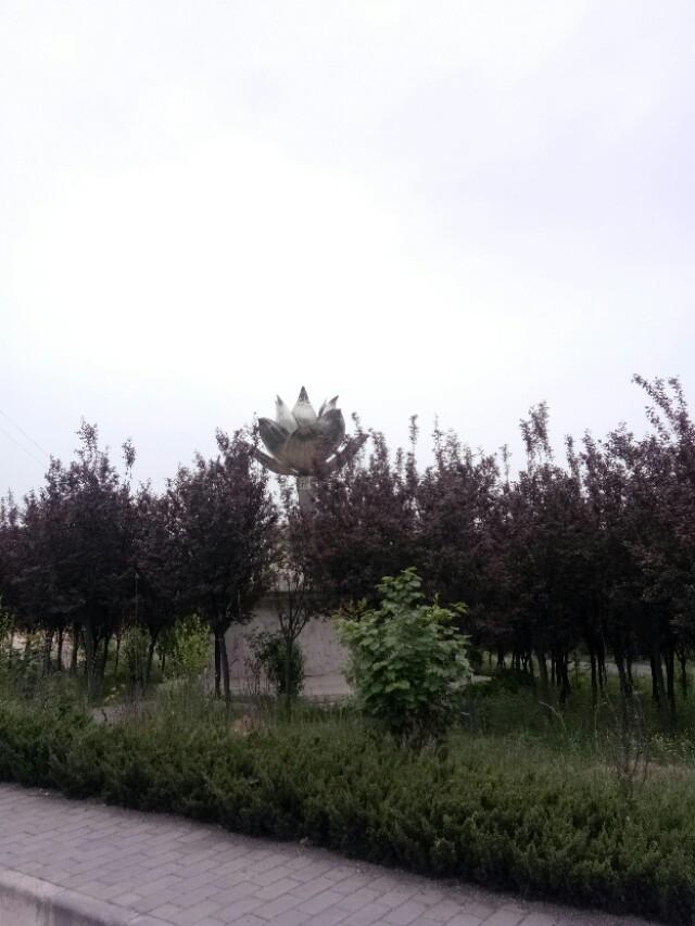 我的骑行故事――200公里骑行马栏惊魂记