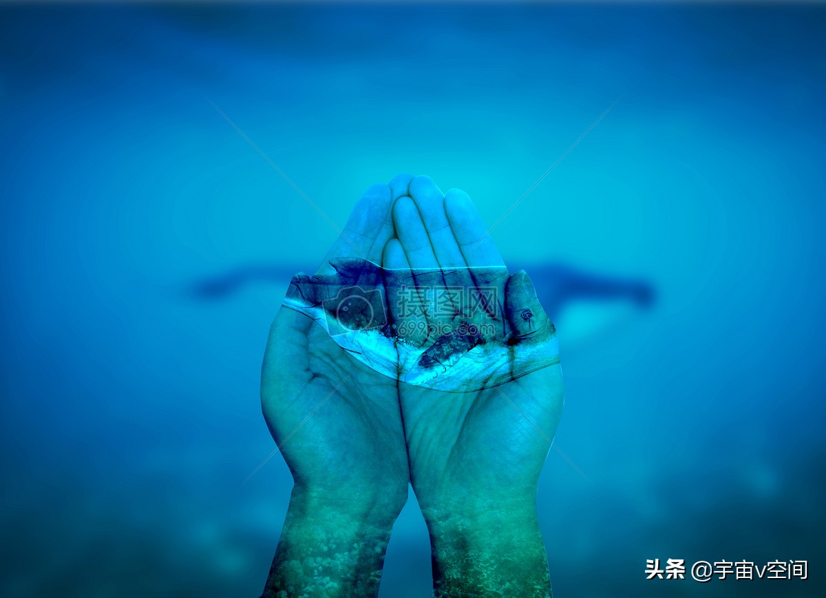 日本不爱吃鲸鱼,为何却将捕杀鲸鱼作为传统文化?