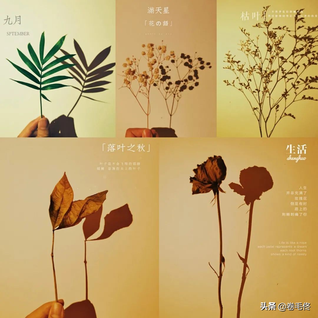 手机拍大片人像,如何拍手机照片最好看