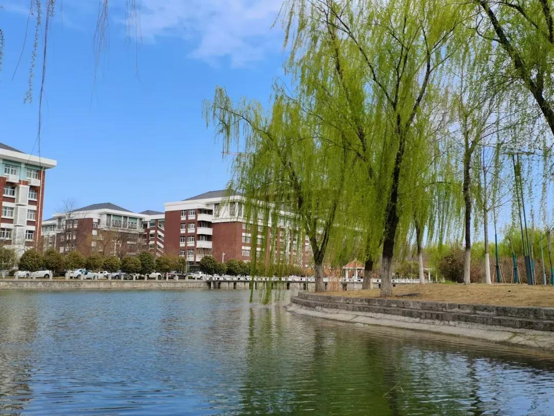 安徽省淮北师范大学录取分数线,安徽淮北十四中