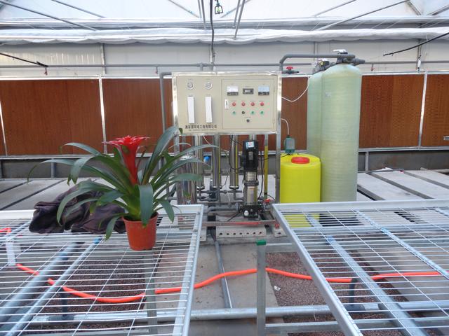 连栋温室大棚价格是多少钱一平方,薄膜连栋温室大棚多少钱一亩