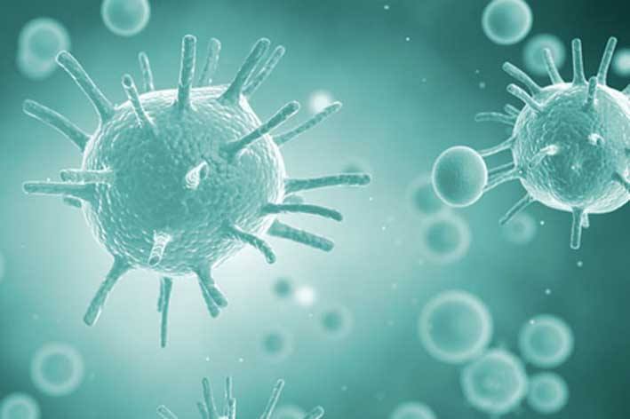 中国科学家根治痛风2019,科学家发现痴呆新药