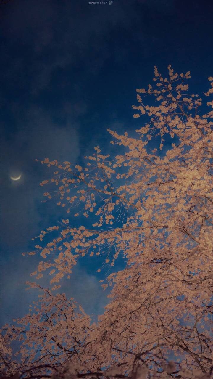 唯美意境古风高清壁纸,意境深幽古风壁纸高清