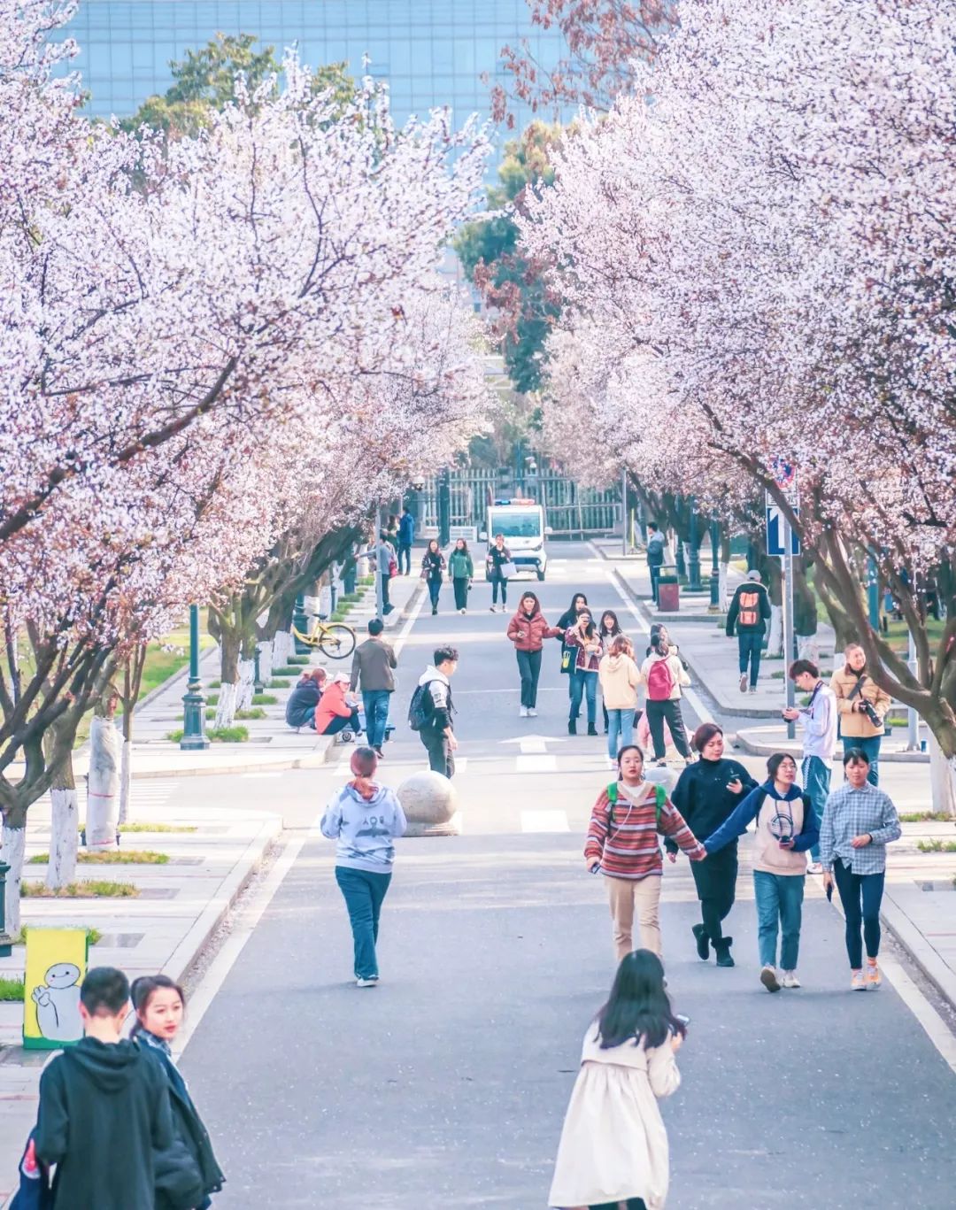 西南民大值得去读吗,西南民大是什么级别
