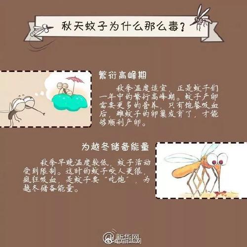 对付打不死的秋蚊子，中医有办法