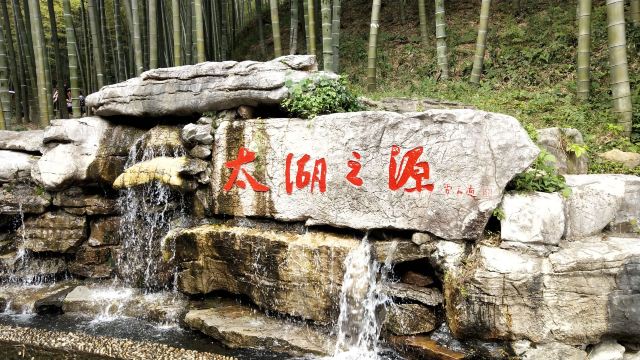 清新大自然竹林风景视频,宜兴竹海风景区图片欣赏