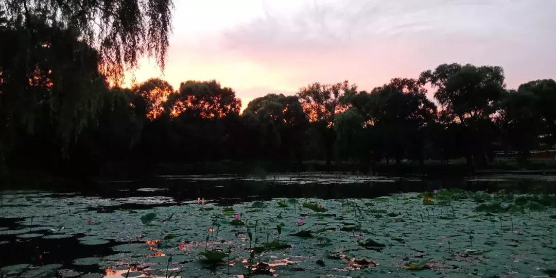 承德避暑山庄湖底出现一神秘“卍”字符号