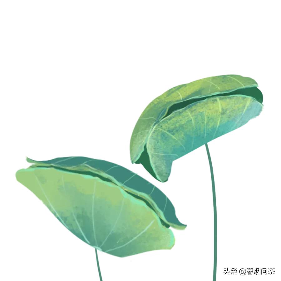 是不是还记得在云南大理喝过最好喝的茶