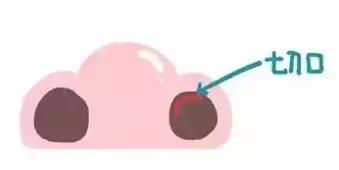 隆鼻能坚持到老吗,隆鼻的潜规则有哪些