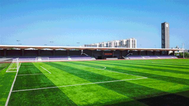 从小在北大上学是什么体验,从小到大读北京大学是什么体验