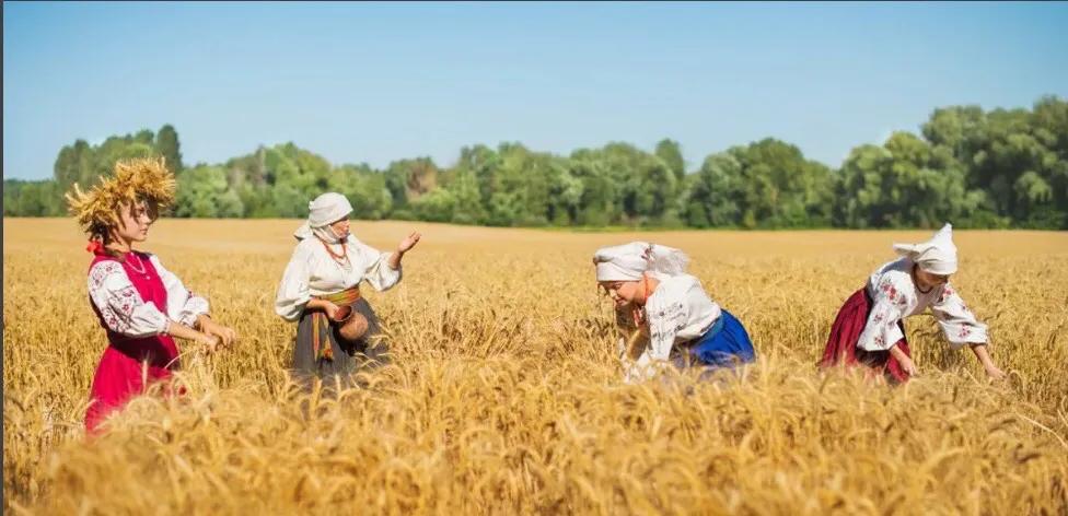 乌克兰平民还能花钱买到东西吗,乌克兰物价100块可以买到什么