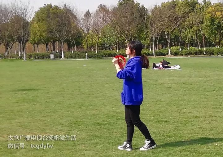 太仓踏青地方在哪里,太仓踏春旅游攻略