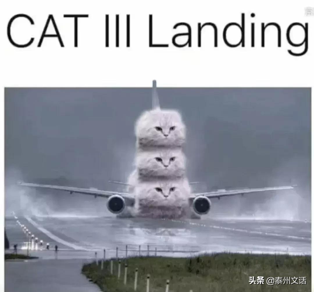 这些航空梗，99.9%的常旅客都不知道