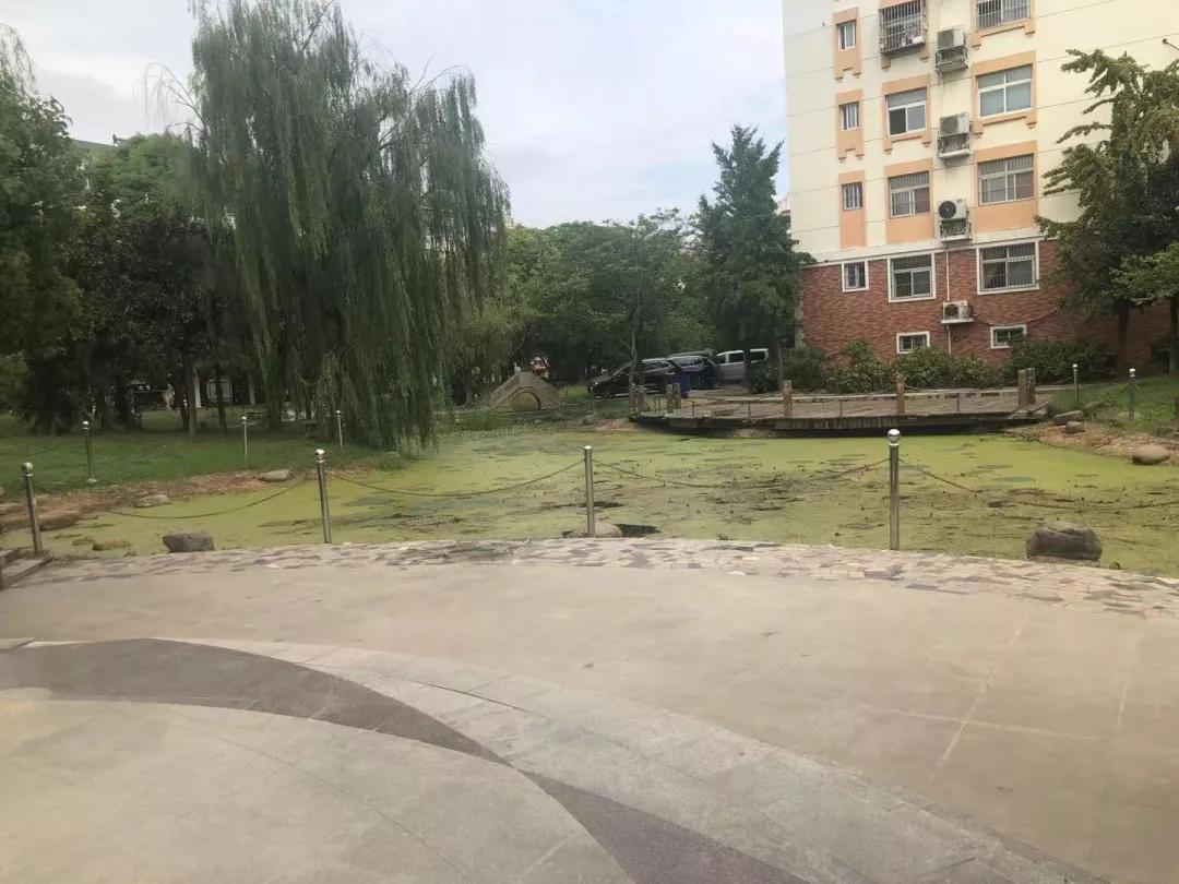 盐城什么房子不能买,现在盐城房子还能不能买