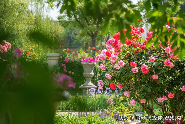 怎样建造自己的院子美观,庭院种植区该怎么设计