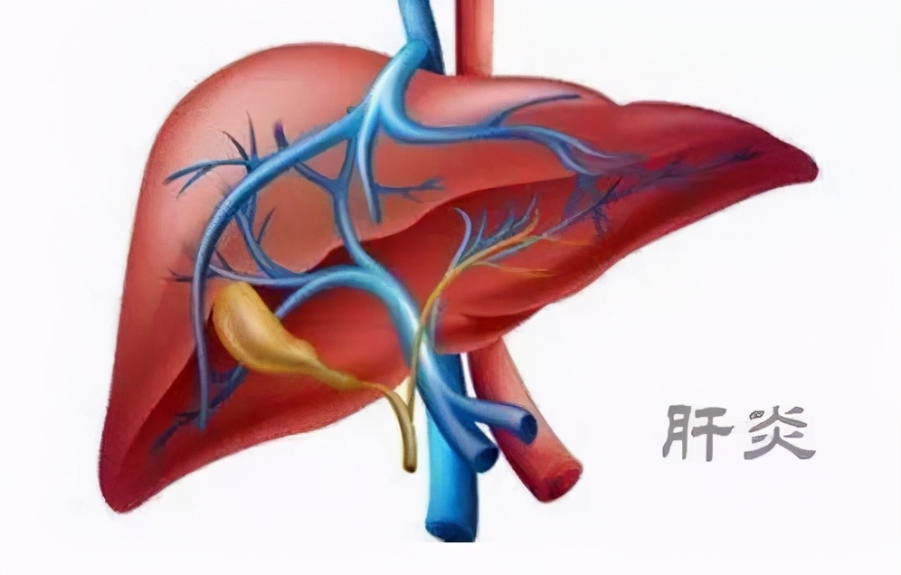 专升本体检谷草转氨酶高会被刷吗,公务员体检谷草转氨酶44能过吗