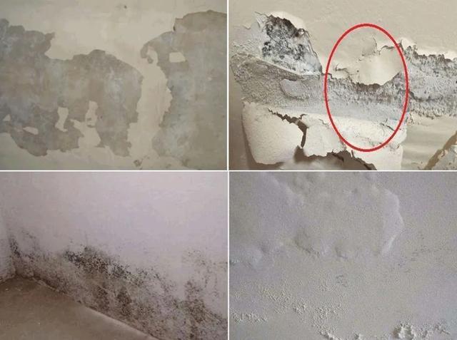 墙壁发霉怎么防止渗水,墙壁发霉怎么抹掉