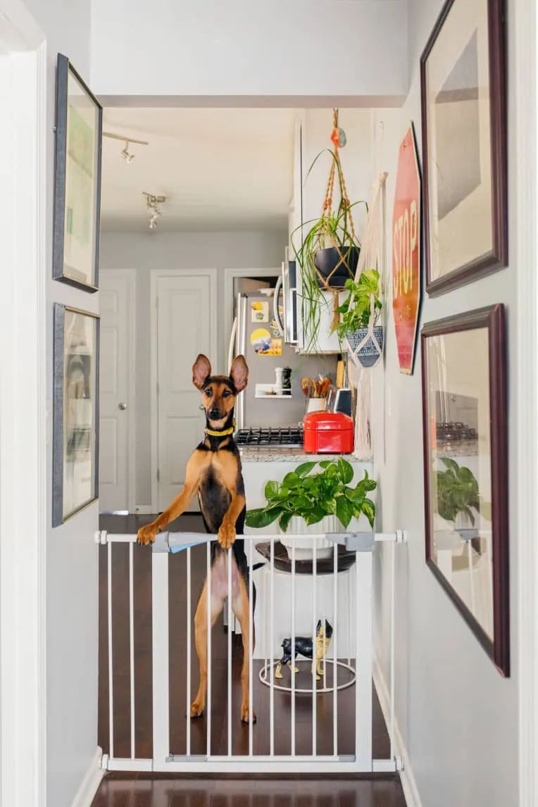 100㎡的家养了99株植物，我醉氧了…