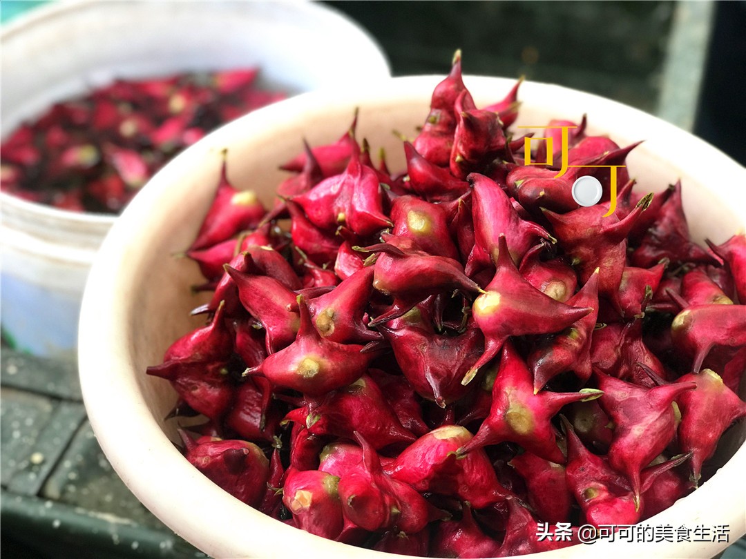 嘉兴平湖旅游莫氏庄园,平湖市莫氏庄园旅游