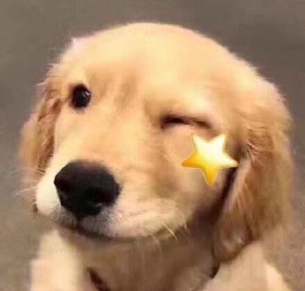 母胎单身的人进入爱情后的状态,母胎单身的人第一次谈恋爱的感觉