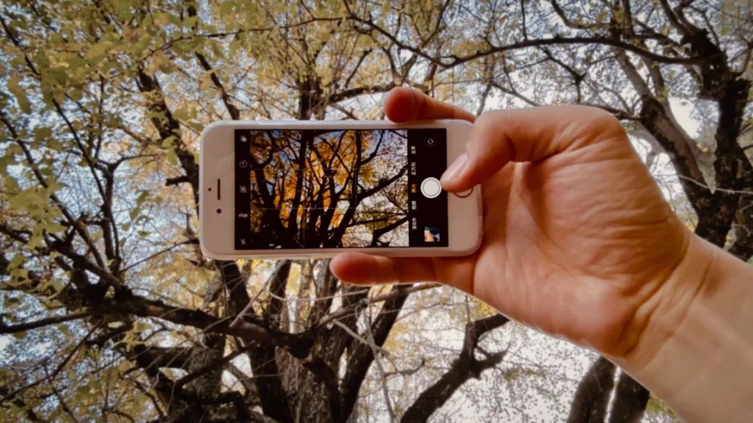 手机怎么打开慢速快门功能,手机快速快门如何设置
