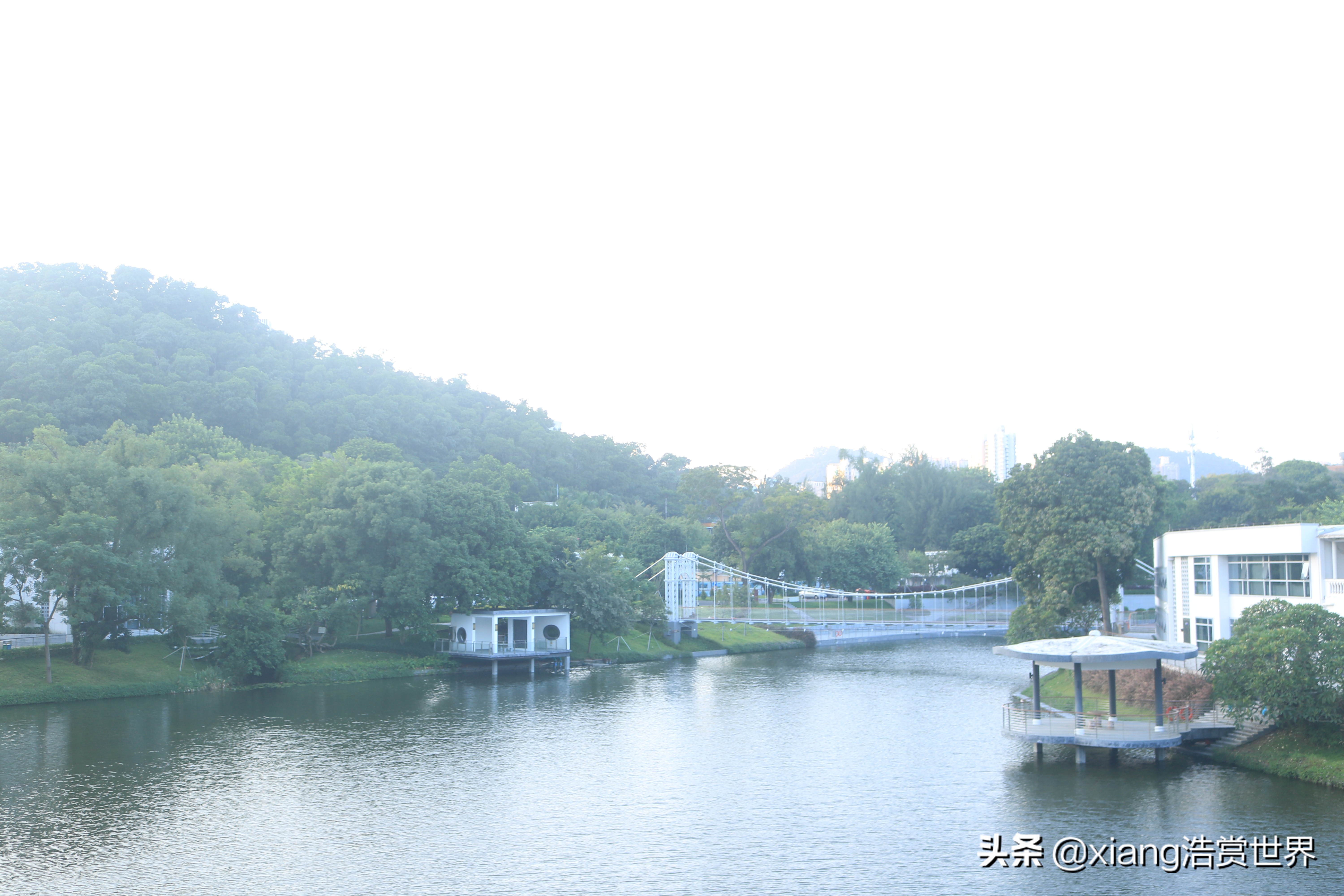 深圳最值得拍照的公园,深圳风景最好看的公园