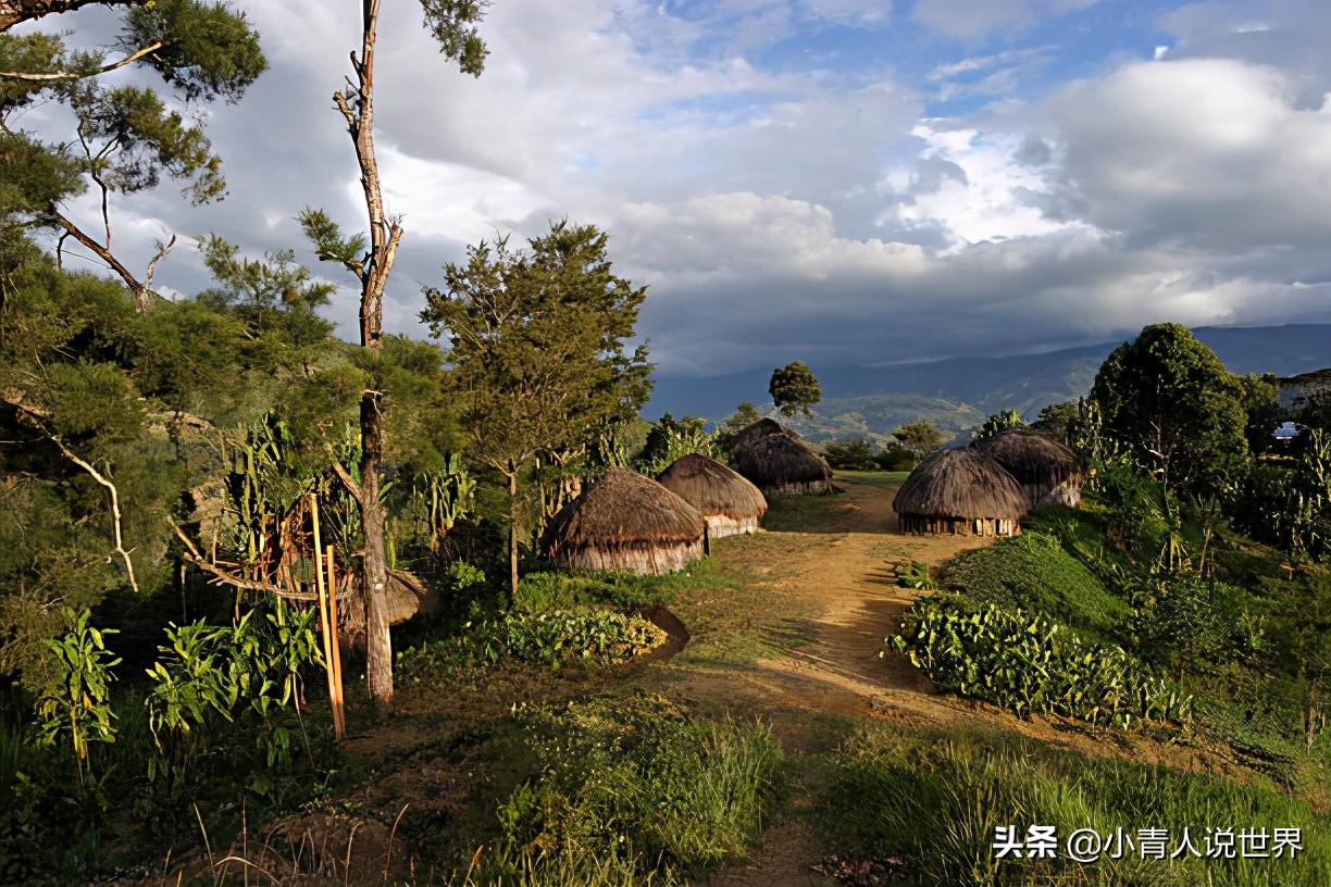 几内亚和巴布亚新几内亚的区别,巴布亚新几内亚国家现状