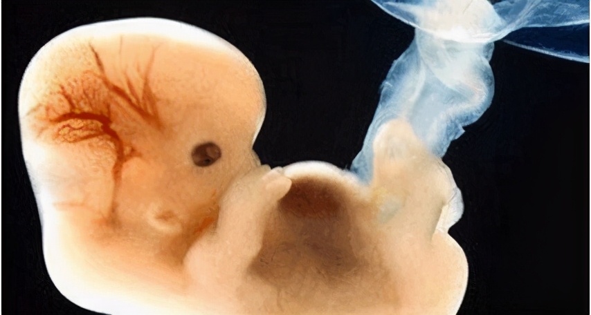 丧尽天良！为求男胎服用转胎药，女孩儿成“双性人”