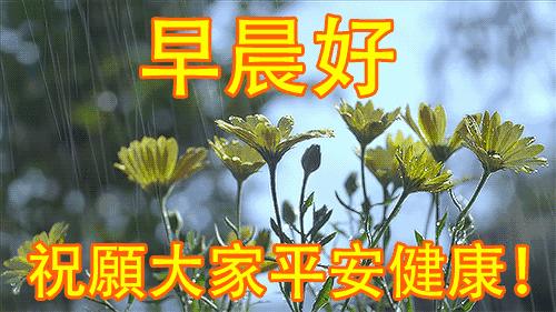 周一早安问候语表情,周一早上好问候语表情