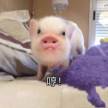 那些年我们听错的歌曲全集,那些年我们听错的歌大合集