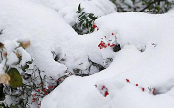 十首描写冬天的古诗词,冬天的诗词大全100首
