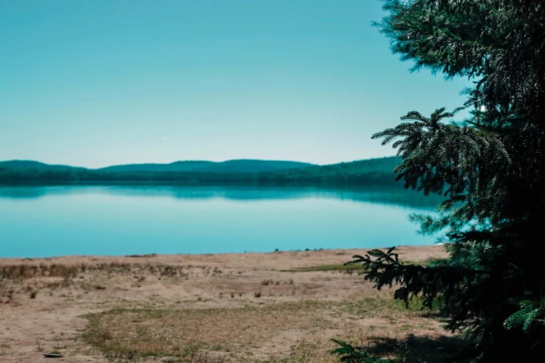 除了经常偶遇浣熊、被鹅追，还有哪些是到了加拿大才知道的事情？