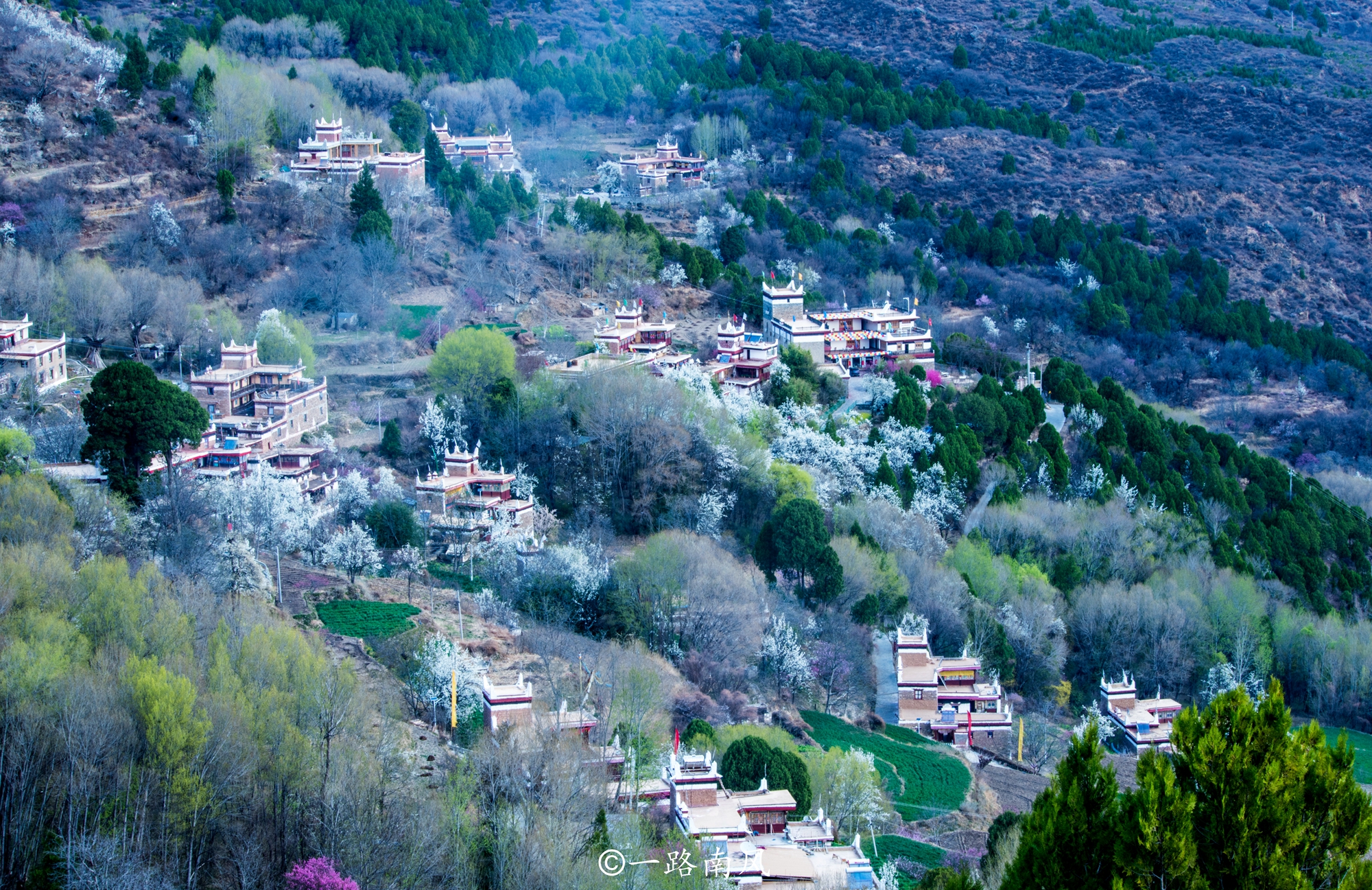 四川甲居藏寨门票,四川甲居藏寨海拔