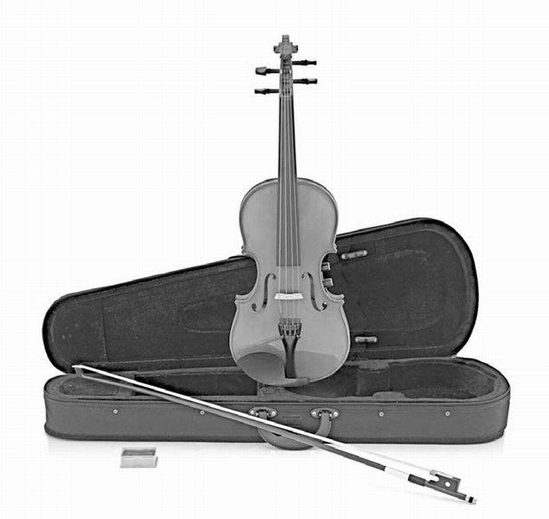 对的木头遇到对的时代