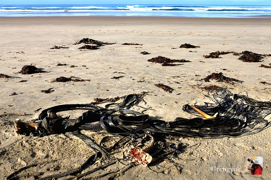 新西兰有哪些景观,新西兰风景最好的地方在哪里