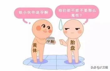 【孕期科普】一次讲清：HCG、孕酮和流产的“三角关系”
