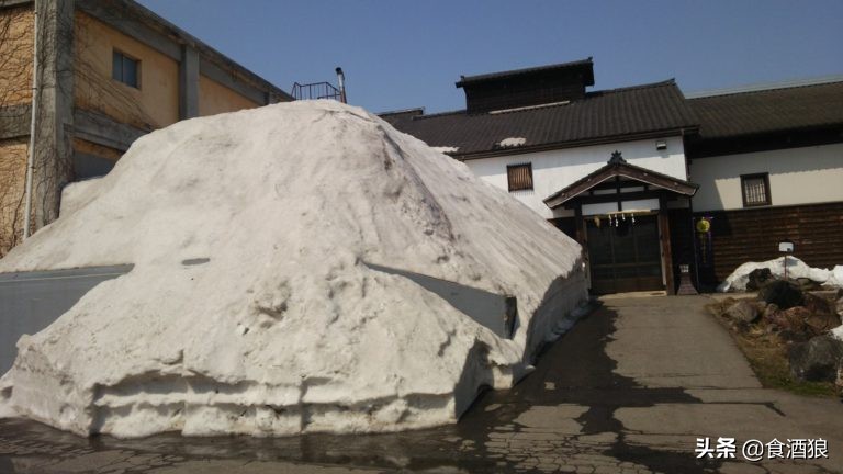 来去酒造喝清酒!玉川酒造见学