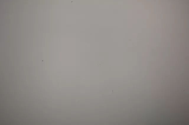 尼康z50最大光圈,尼康z501.8深度评测