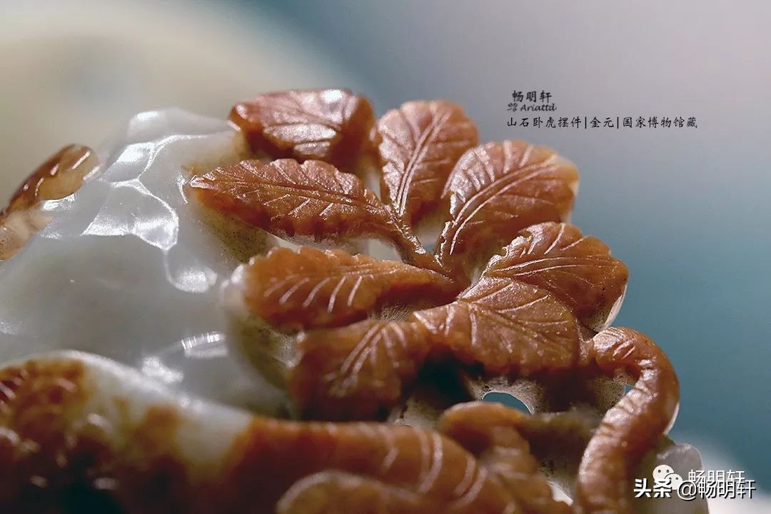 辽金元时期珍贵文物馆,宋辽金元瓷器标本瓷片