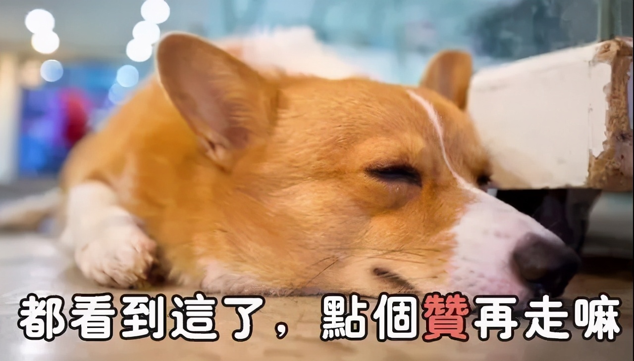 宋威龙对赵露思的评价,宋威龙痘痘肌