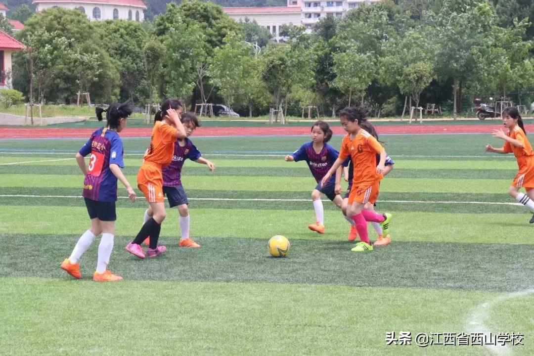 捷报赛事,2021年滕王阁杯排球冠军