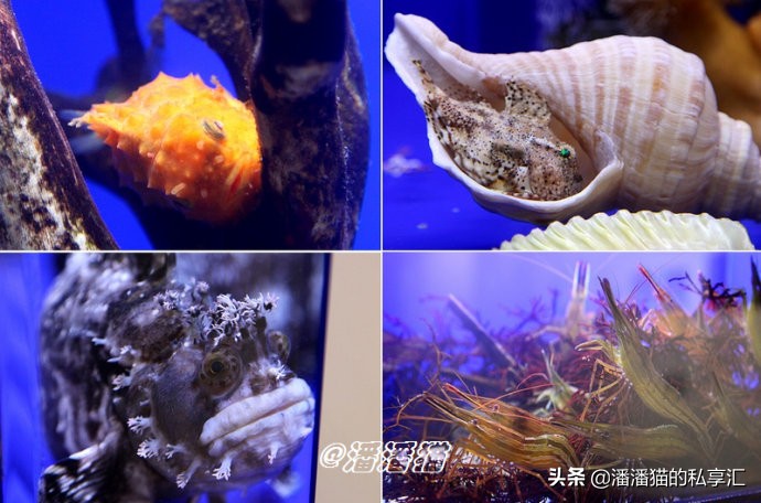 雪国和冰雪,雪国旅游