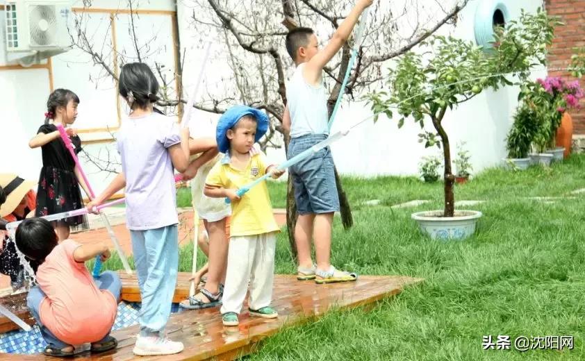 沈阳附近民宿小院,沈阳农村民宿独门独院价格