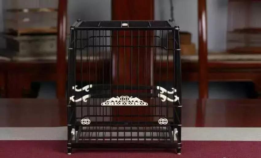 铁鸟笼制作方法全过程视频,中国传统文化鸟笼