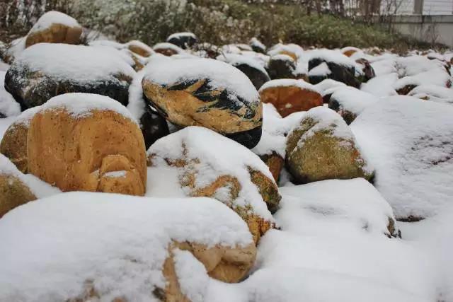 坐拥神仙颜值!原来,这就是中南大学的最美校花!