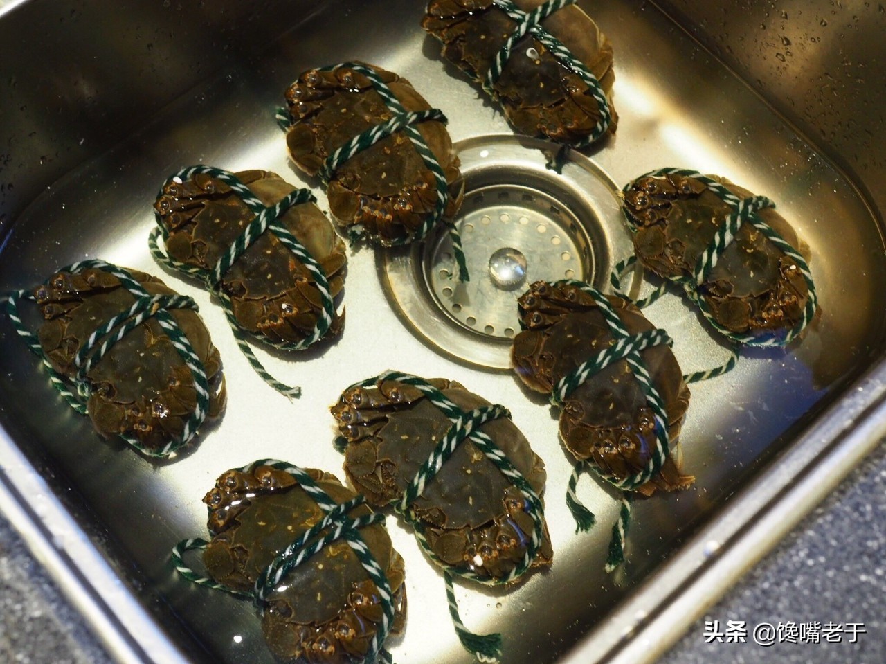 螃蟹为什么要捆着,螃蟹为什么要藏起来