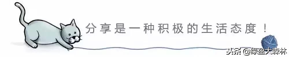 简约风格硅藻泥颜色搭配效果图,硅藻泥装修效果图大全大图