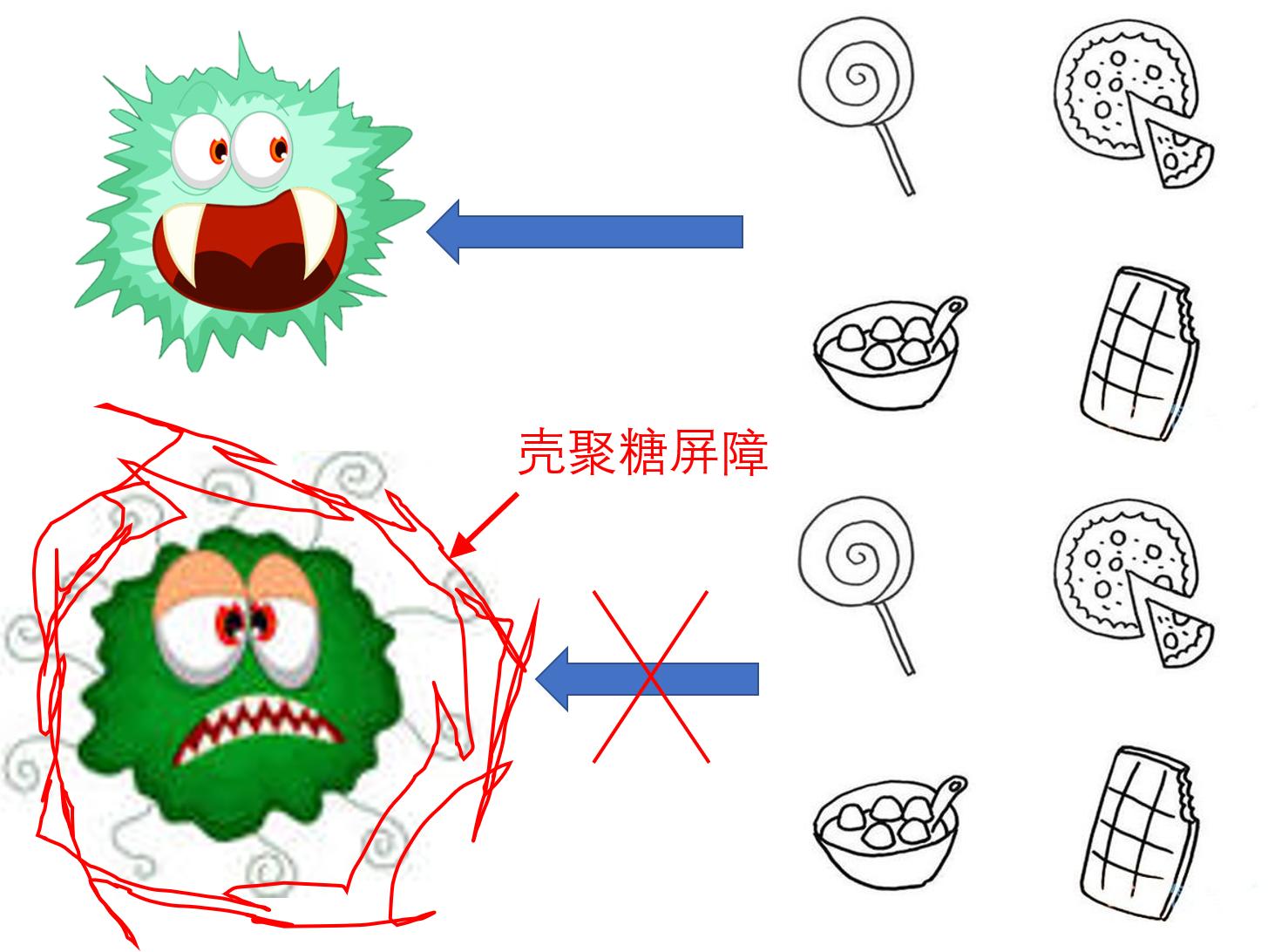 美食→生物材料|小龙虾和螃蟹→伤口敷料