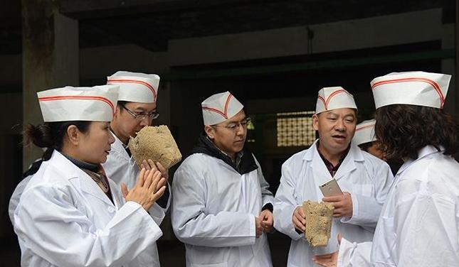 曲为酒之骨酒曲介绍,曲为酒之骨酒曲详解